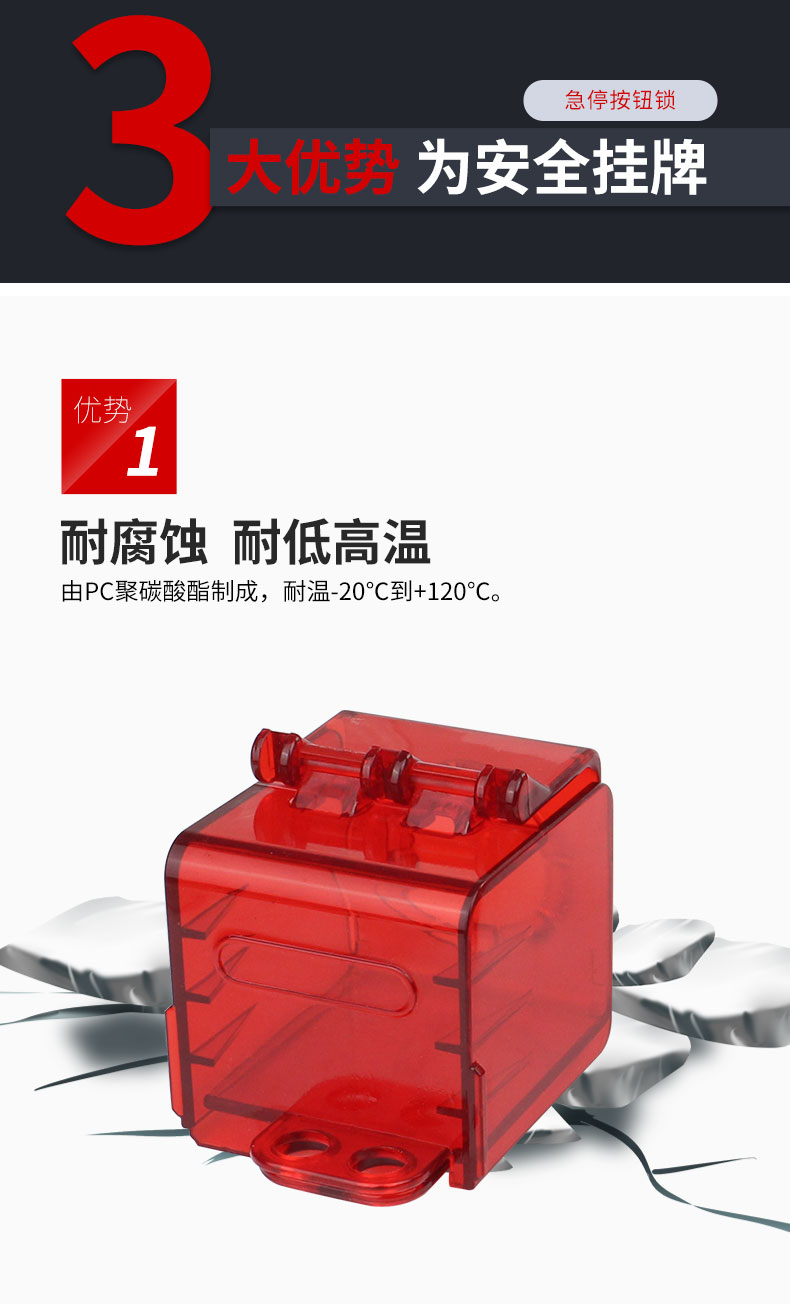 SBL41_04.jpg
