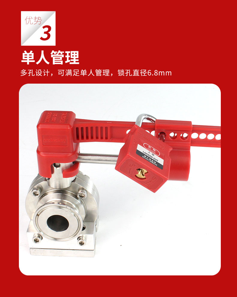 BVL51-D35_06.jpg