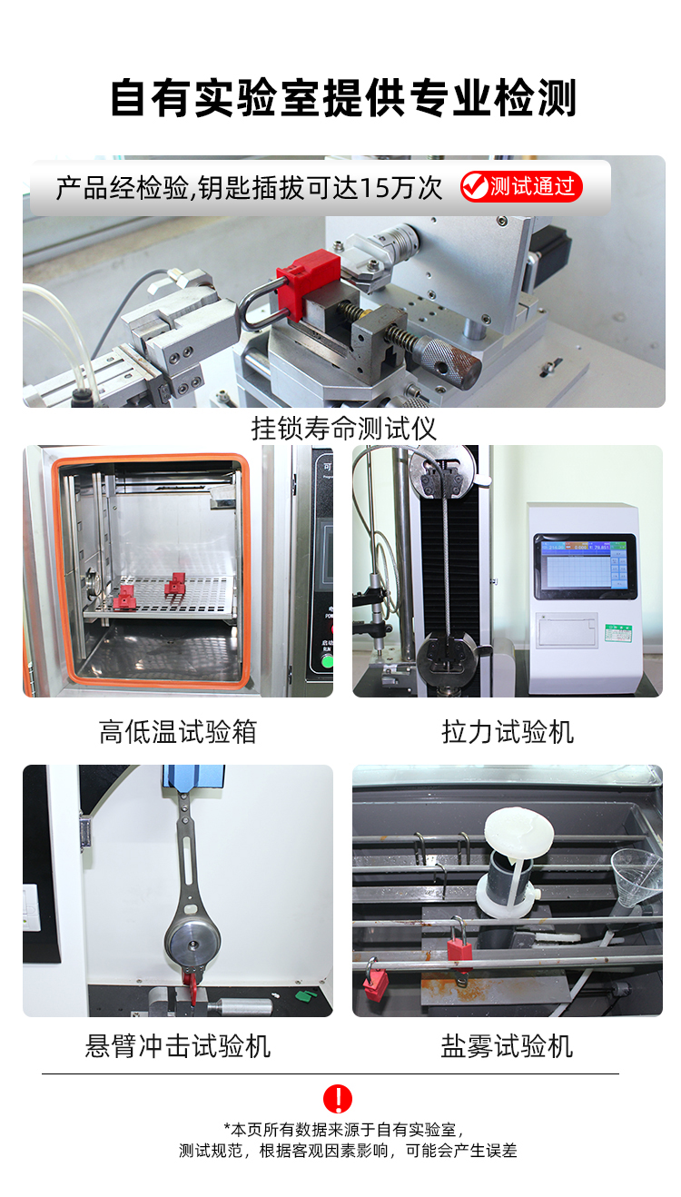 P38SDP-P38PDP-P38SR1-P38SR2_12.jpg
